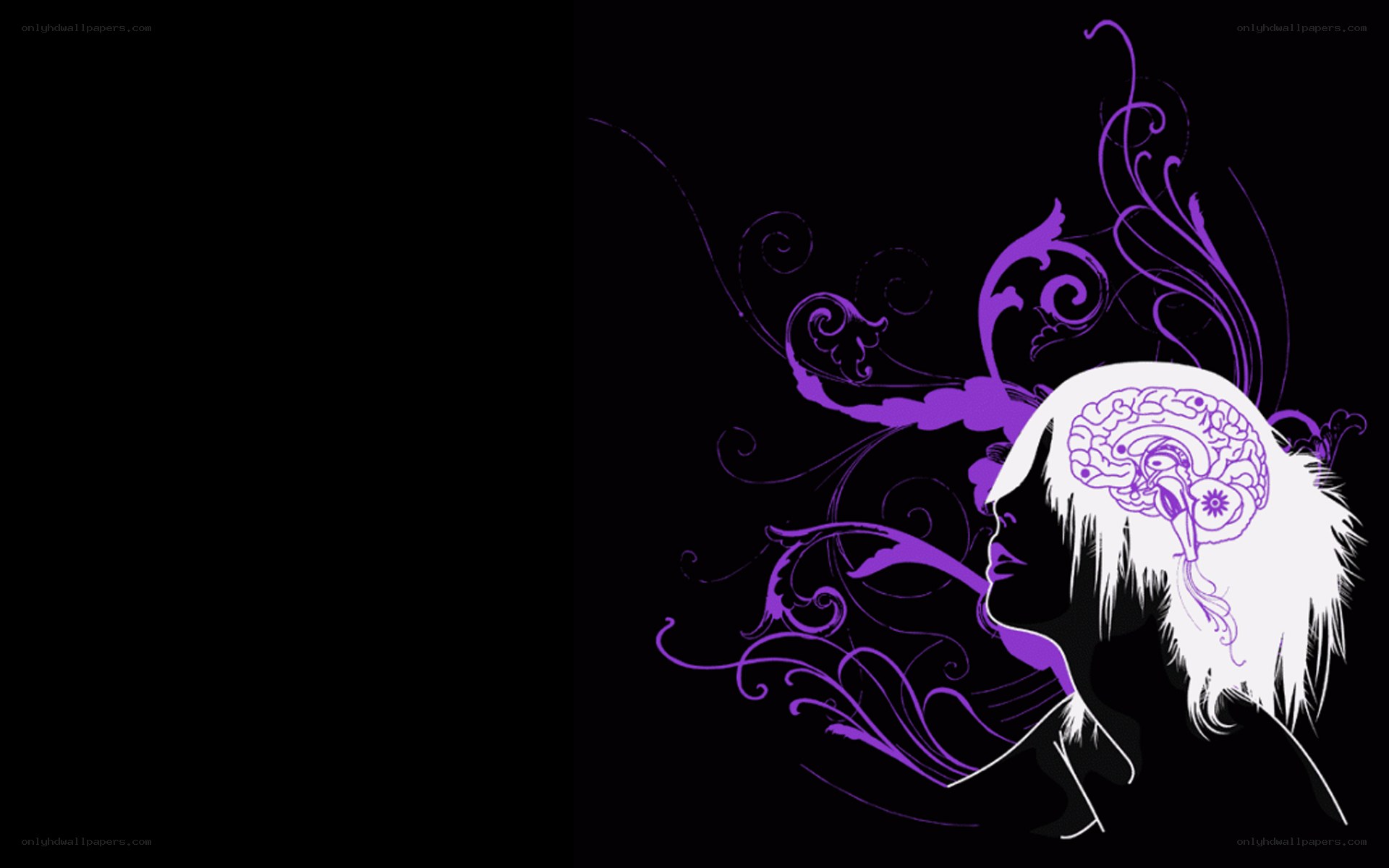 purple brain art illustration