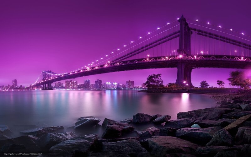 Purple Bridge at Night