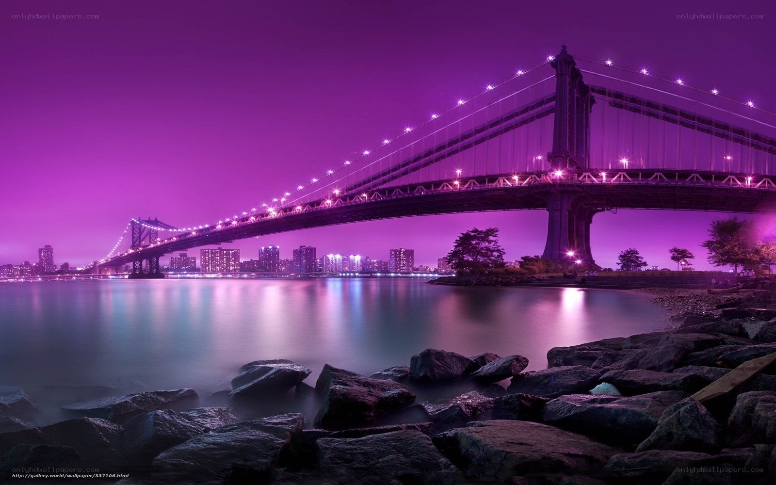 Purple Bridge at Night