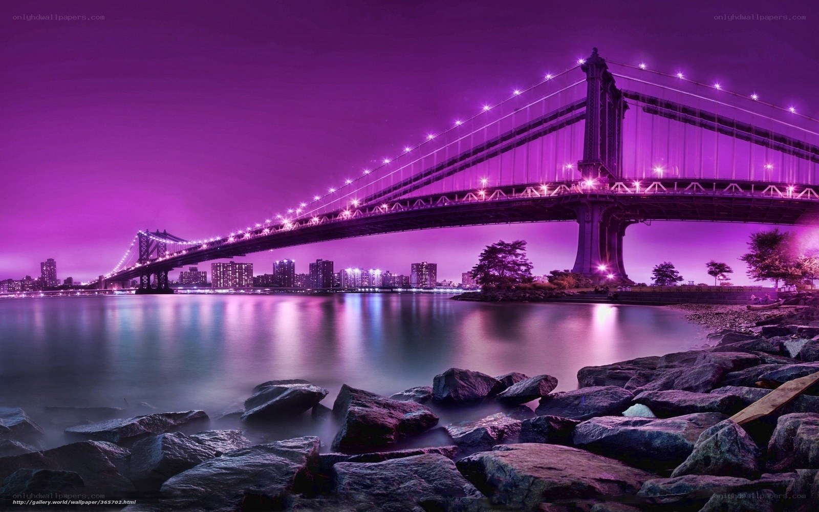 Purple Bridge at Night