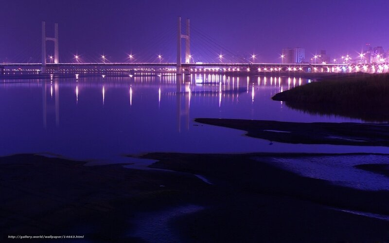 Purple Bridge at Night