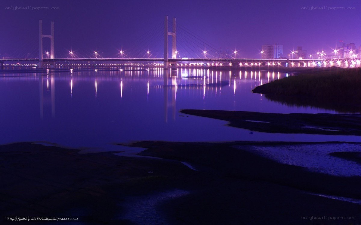 Purple Bridge at Night