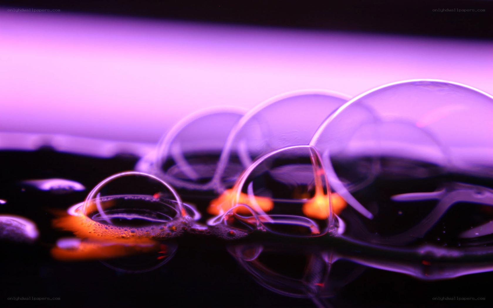Purple bubbles on dark surface
