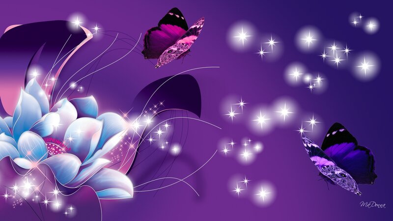 Purple Butterflies and Flower