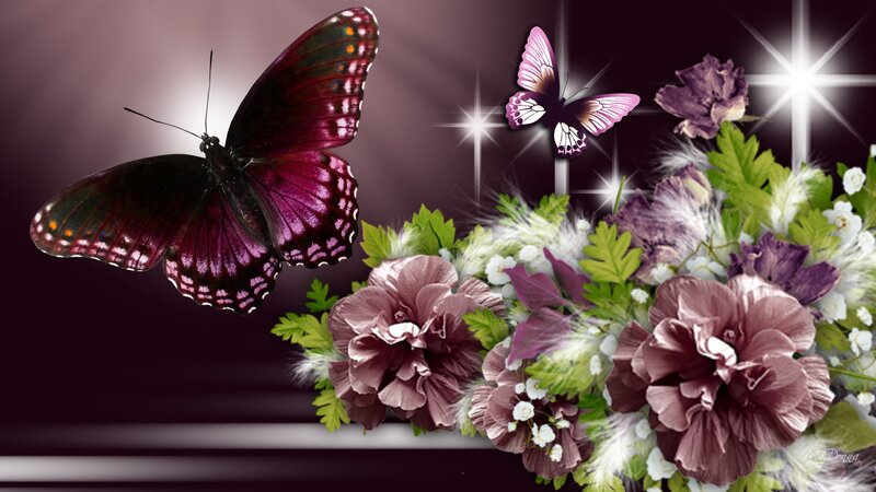 Purple Butterflies and Flowers — Dramatic