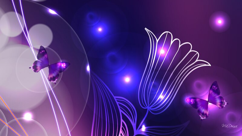 Purple Butterflies and Flowers — Dreamy, Night, Digital Art