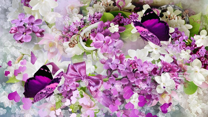 Purple Butterflies and Flowers — Festive, Spring
