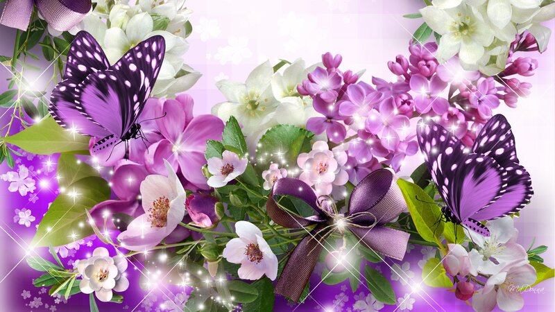 Purple Butterflies and Flowers — Festive