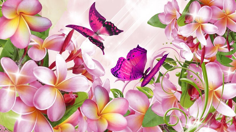 Purple Butterflies and Flowers — Pink, Bright