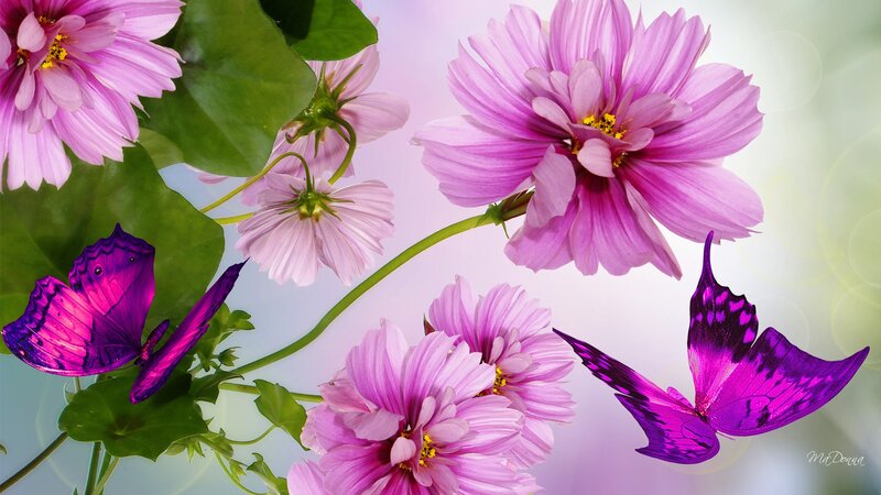 Purple Butterflies and Flowers — Pink, Serene, Spring, Digital Art