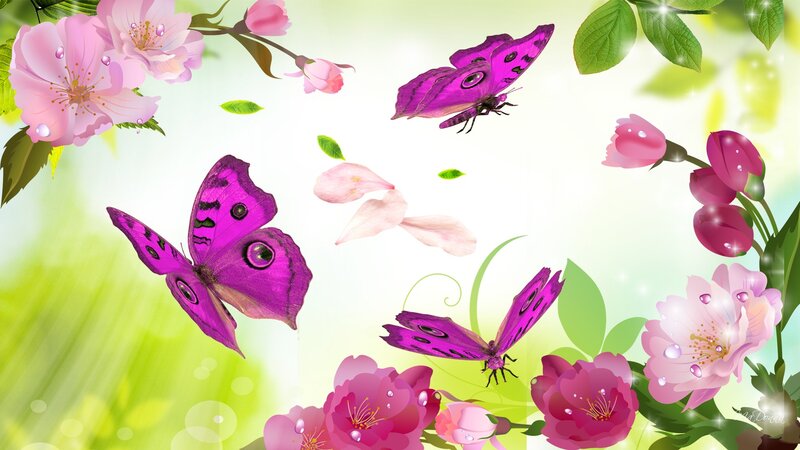 Purple Butterflies and Flowers — Pink, Serene, Spring