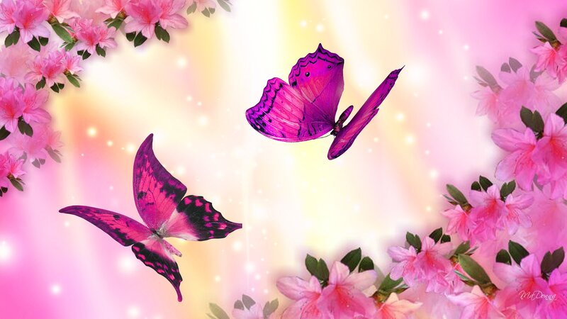 Purple Butterflies and Flowers — Pink