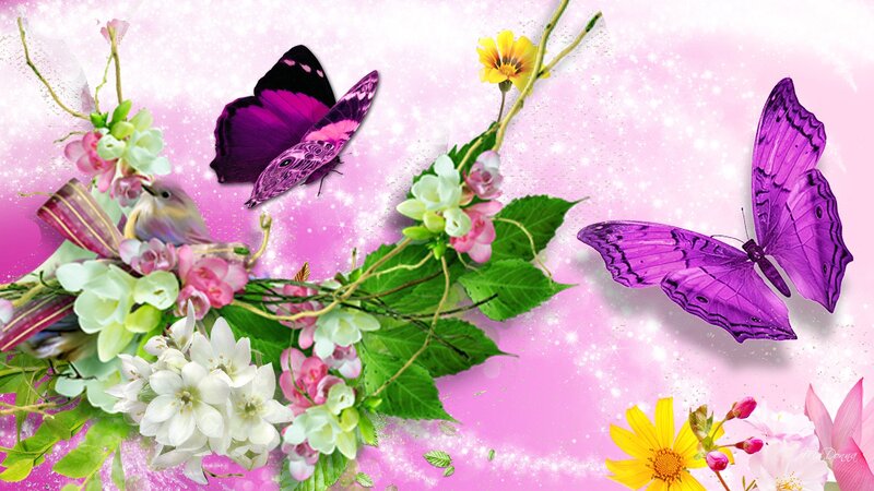 Purple Butterflies and Flowers — Pink, Whimsical