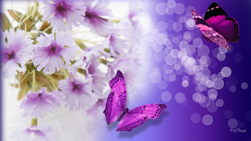 Purple Butterflies and Flowers — Serene, Digital Art, Bokeh