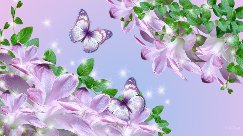 Purple Butterflies and Flowers — Serene, Spring
