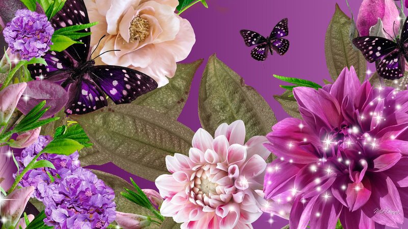 Purple Butterflies and Flowers — Vibrant