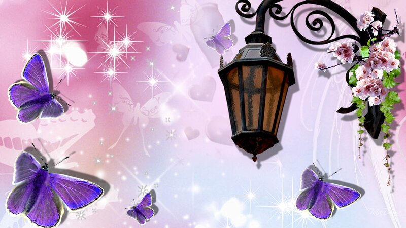 Purple Butterflies and Lantern