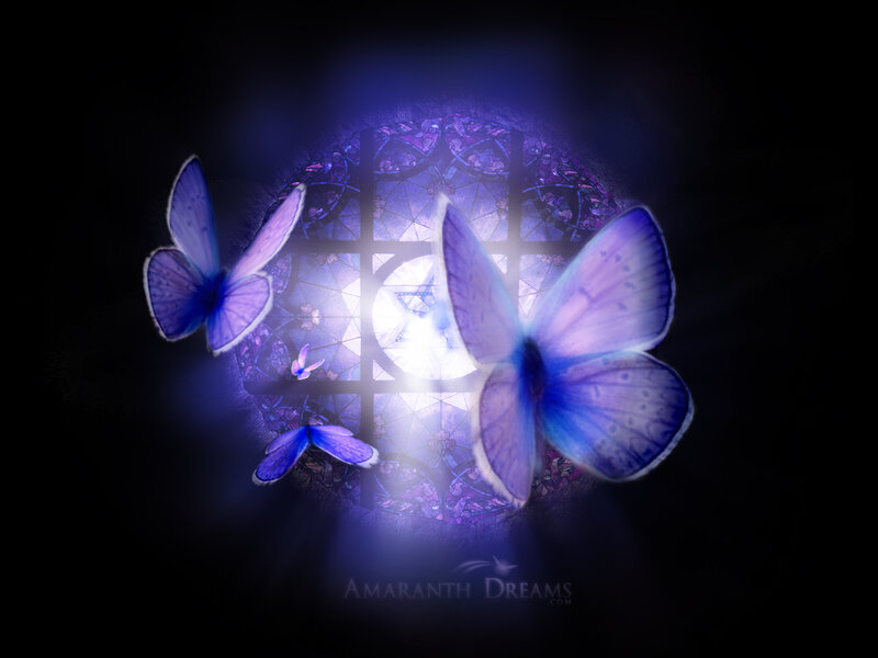 Purple Butterflies — Blue