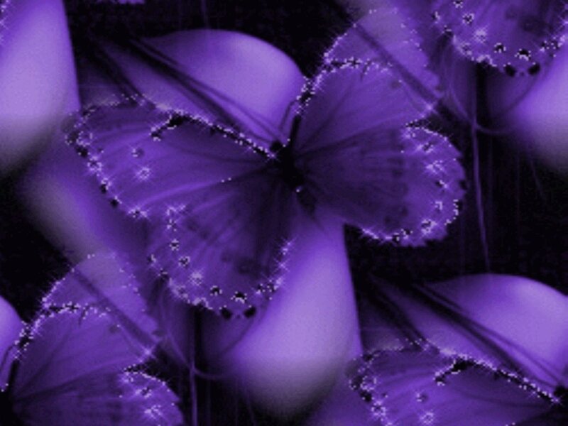 Purple Butterflies — Dreamy, Digital Art