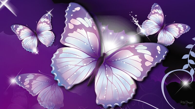 Purple Butterflies — Dreamy