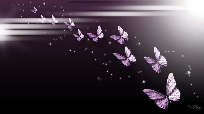 Purple Butterflies Flying — Dreamy