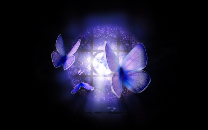 Purple Butterflies Flying — Mystical