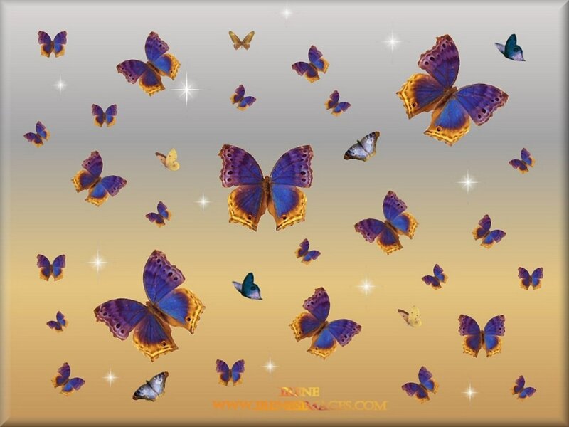 Purple Butterflies Flying