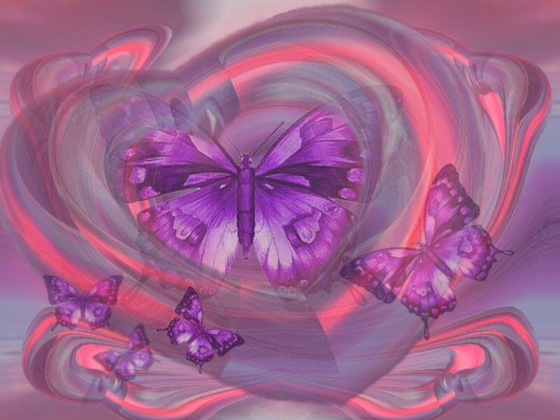 Purple Butterflies in Swirl