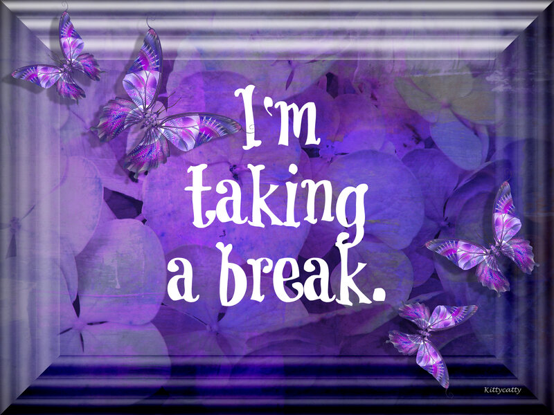 Purple Butterflies on Flowers — Calm