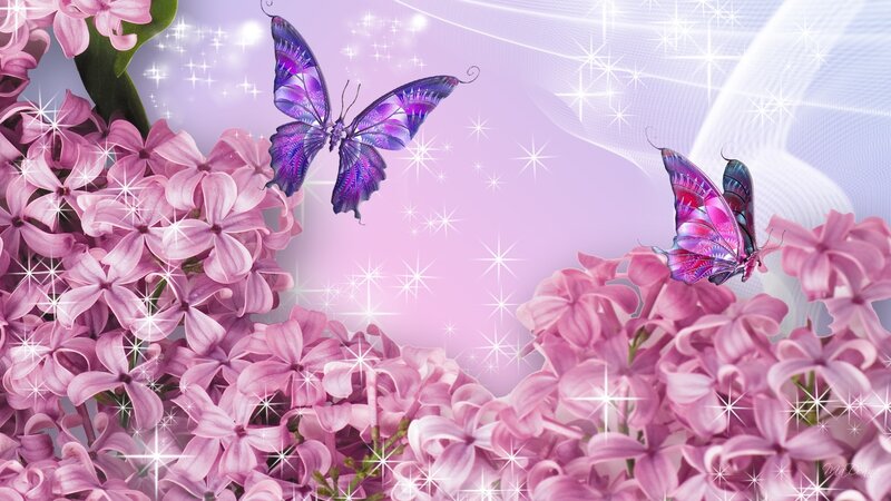 Purple Butterflies on Lilacs