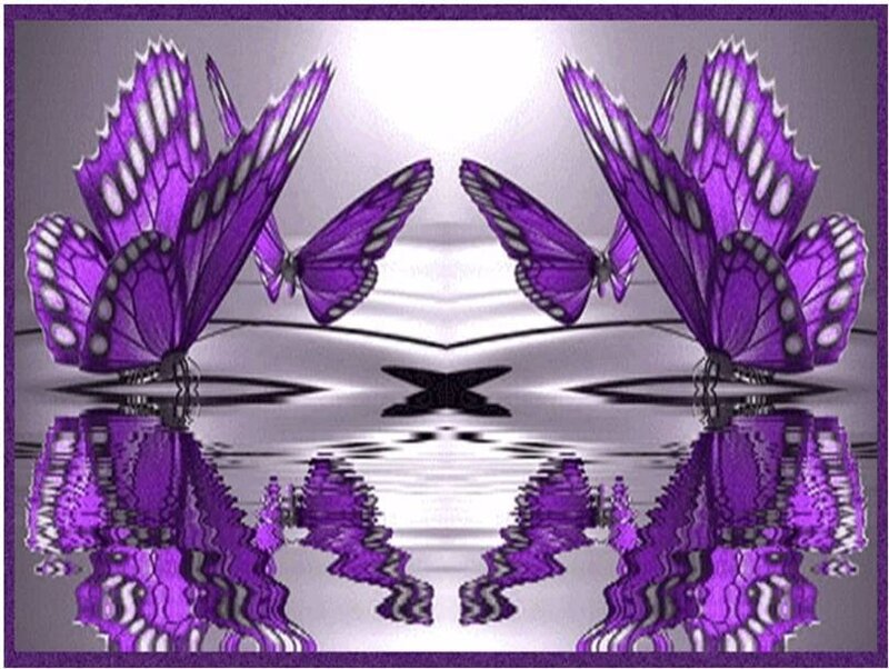 Purple butterflies reflection