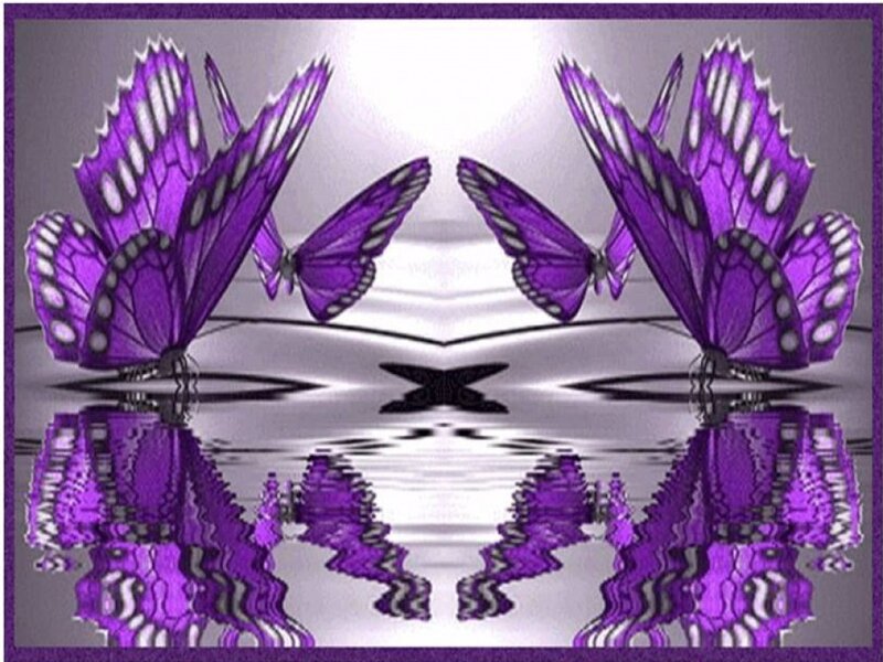 Purple Butterflies — Serene