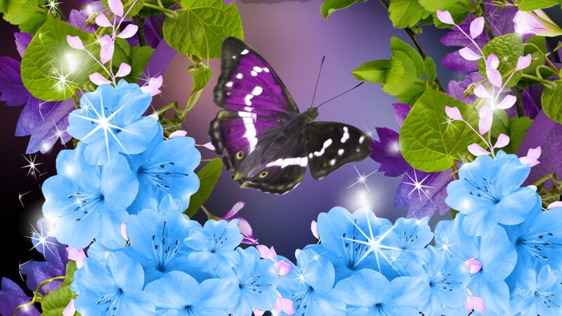 Purple Butterfly Among Flowers — Blue