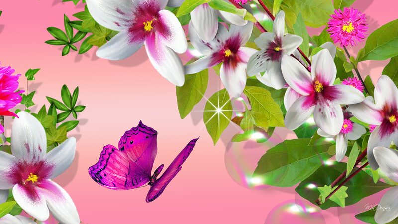 Purple Butterfly Among Flowers — Pink