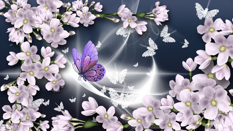 Purple Butterfly Among Flowers