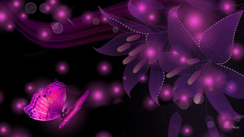 Purple Butterfly and Flower — Dreamy