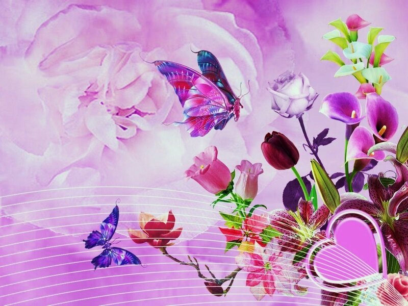 purple butterfly and flowers