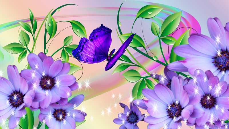Purple Butterfly and Flowers — Colorful