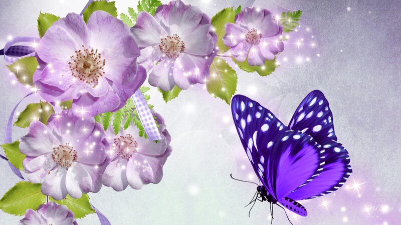 Purple Butterfly and Flowers — Dreamy, Digital Art, Leaves