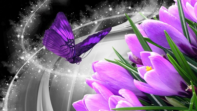 Purple Butterfly and Flowers — Magical