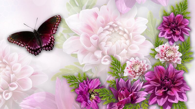Purple Butterfly and Flowers — Pink, Serene, Digital Art