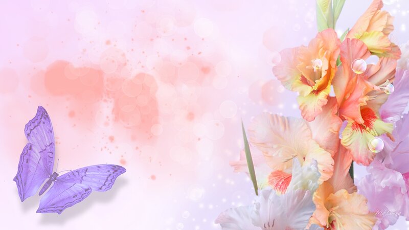 Purple Butterfly and Flowers — Pink, Serene