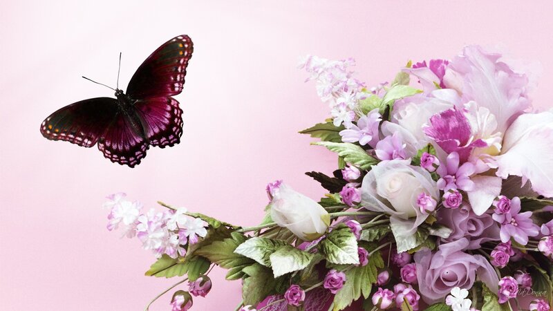 Purple Butterfly and Flowers — Pink