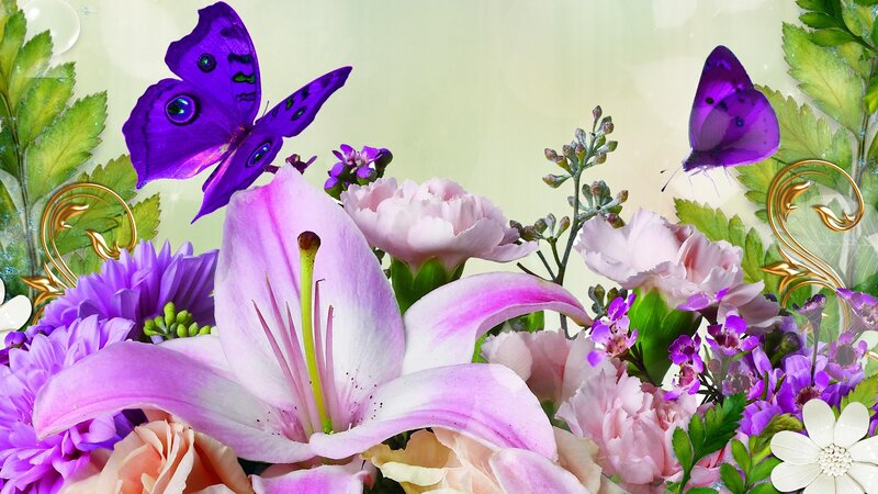 Purple Butterfly and Flowers — Serene, Spring