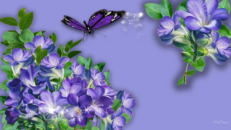 Purple Butterfly and Flowers — Serene