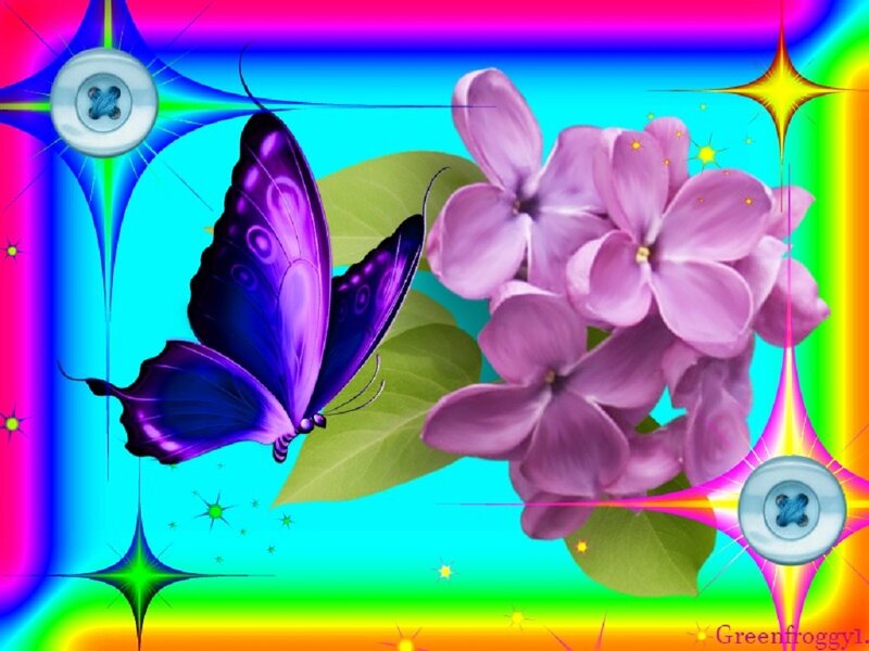 Purple Butterfly and Lilac Flowers — Blue