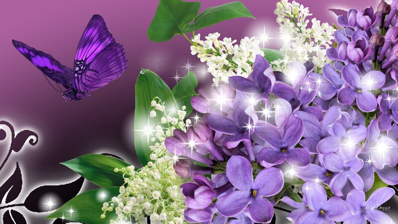 Purple Butterfly and Lilac Flowers