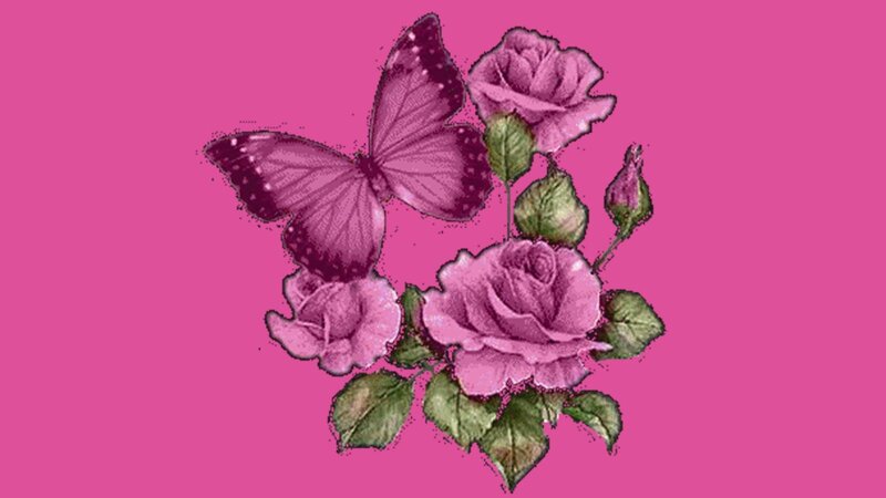 Purple Butterfly and Roses