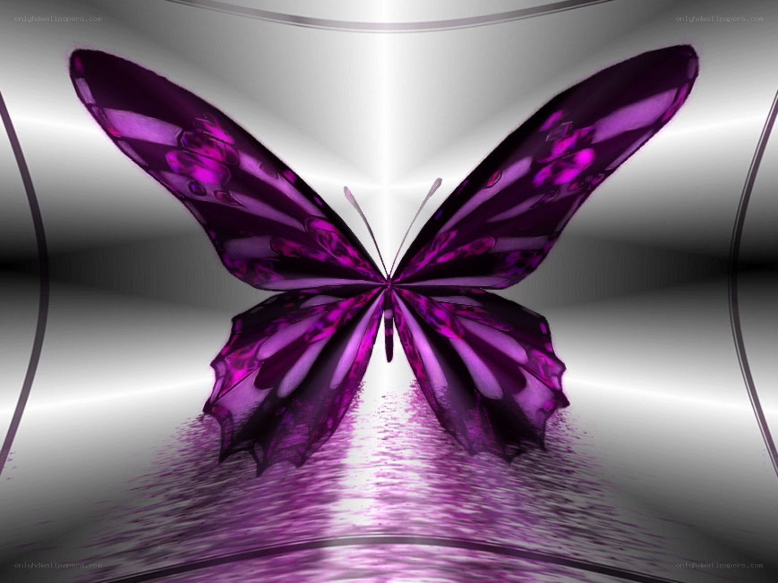 purple butterfly digital art