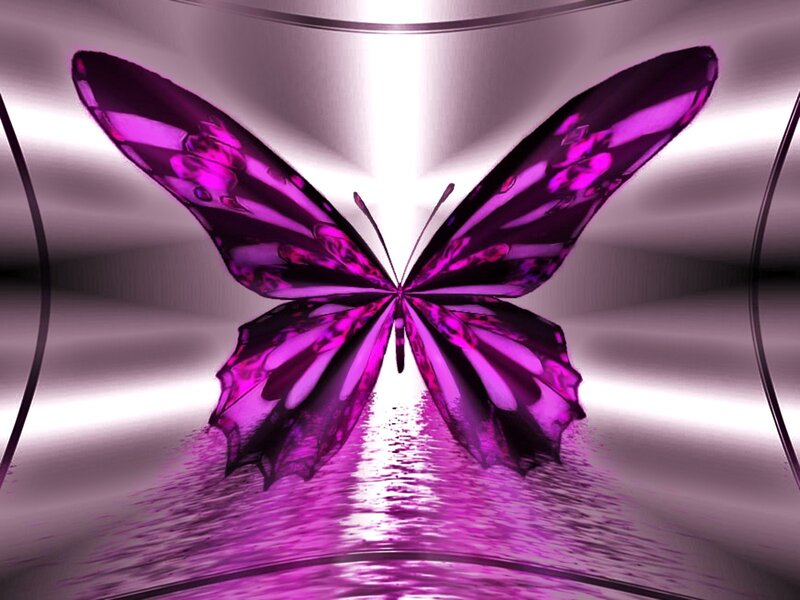 purple butterfly digital art